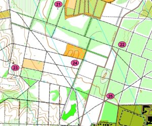 20 juli 2025 Belgische Kampioenschappen 2m ARDF