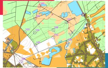 30/08/2025 80m Fox-O-ring Tessenderlo-Ham