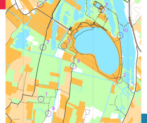 4 oktober 2025 80m Fox-O-ring Nieuwdonk Berlare