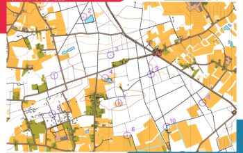 29/08/2026 80m Fox-O-ring Herselt